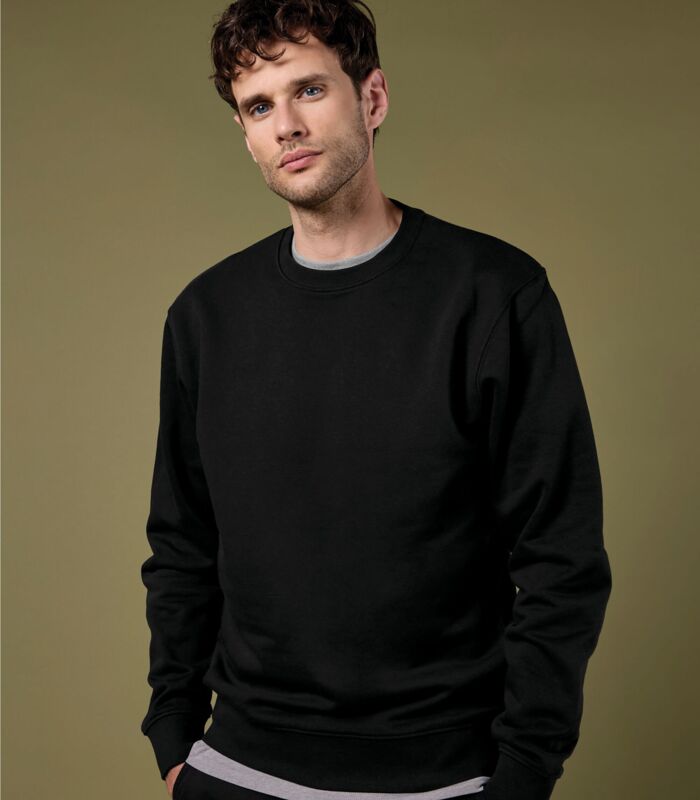 Regular Fit Sweatshirt Thumbnail