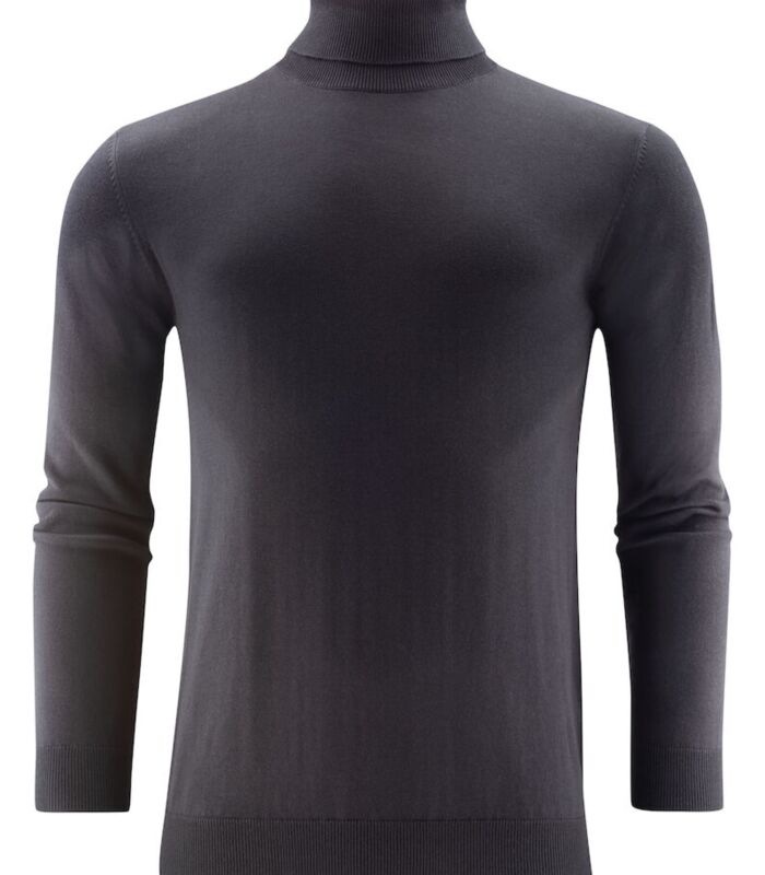 Ashland Turtle Neck Knit Thumbnail