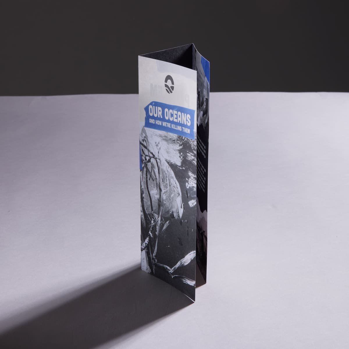 Folded Leaflets - Image 4